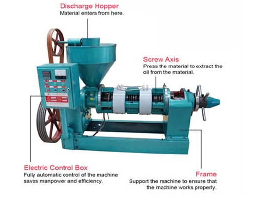 domestic big large sesame oil mill machine in Philippines