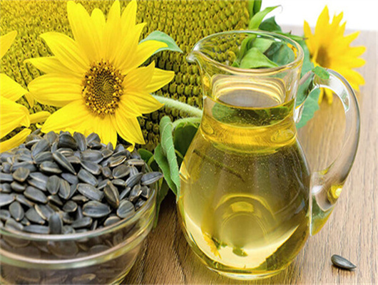 corn germ oil extraction wholesale in South Africa