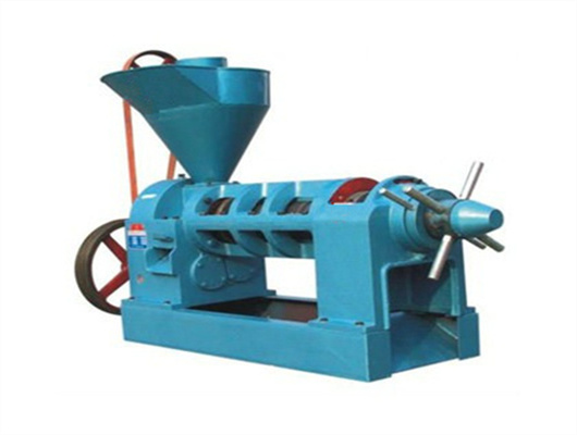 automatic soybean oil press machine by dafu 2024 in Mozambique