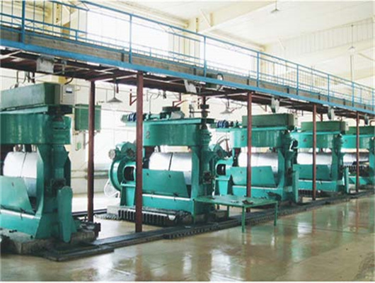 Pakistan corn germ oil press machine for production line