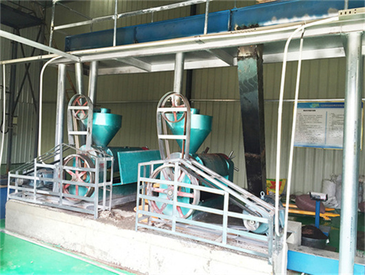 200 screw oil press machine in Tanzania