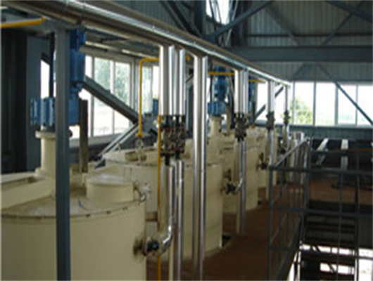 South Africa automatic jumbo ms cold press oil machine