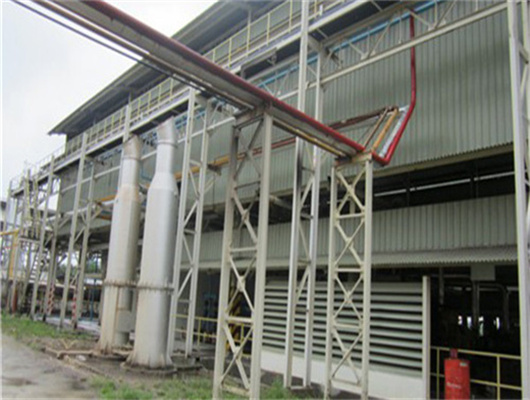 oil press machine/big automatic oil press in Philippines