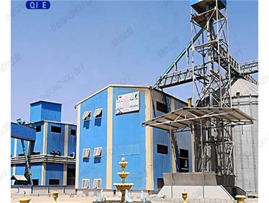 China factory price automatic peanut oil press/making