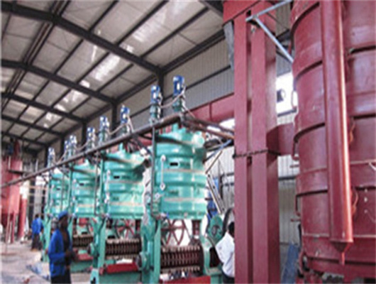 oil pressing machine-kaifeng youdo machinery in Indonesia