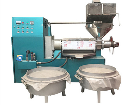 2024 hot sale big sesame oil press machine in Cote d’Ivoire