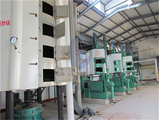 screw oil expeller machine hj-p09 in South Sudan