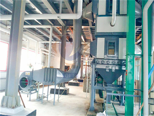 big scale special soybean oil processing machine in Egypt