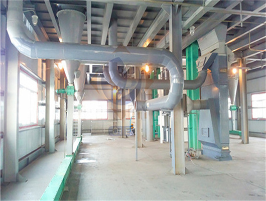 big scale palm oil processing machine mill in Philippines