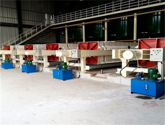 big scale palm oil refining machinery in India