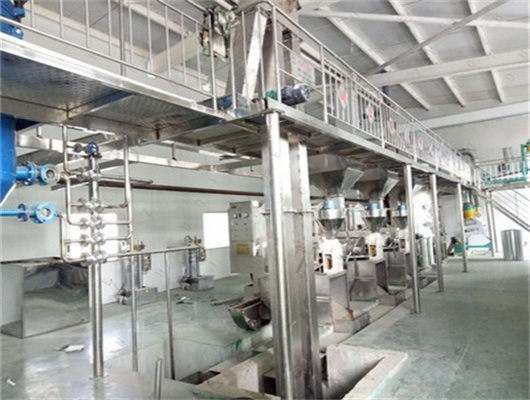 widely used hot sale big cold oil press in Namibia