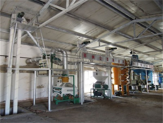 6yl-100 soybean screw oil press machine in Democratic Republic of Congo