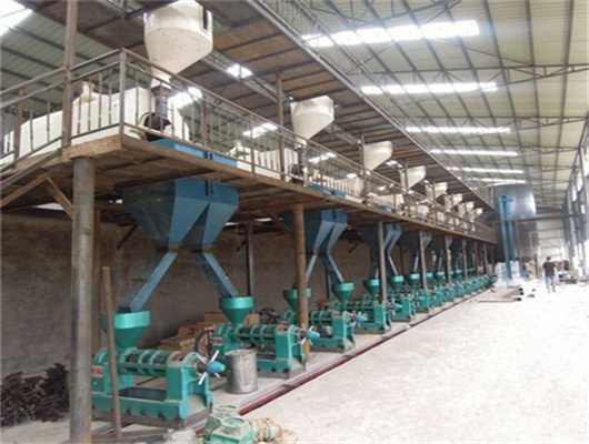 big cold press oil machine with high oil yield in Nigeria