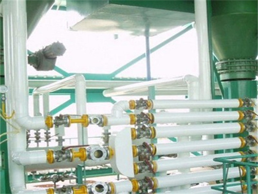 sunflower nuts oil press machinen in Congo