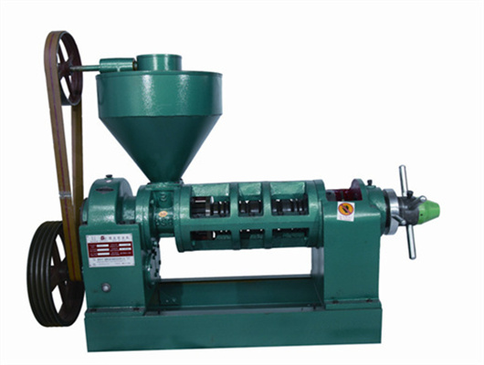 factory direct sale groundnut oil press machine in Togo