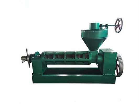 6yl 100 automatic oil press machine oil press in Nicaragua