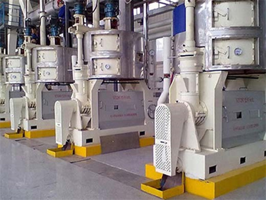 Tanzania commercial and automatic oil press machine