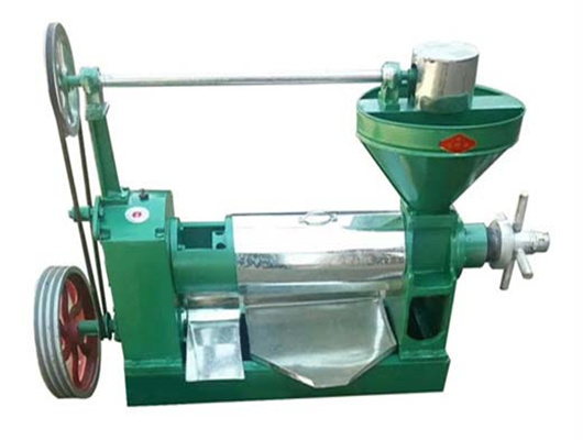 Malawi stainless steel sunflower seeds oil press line