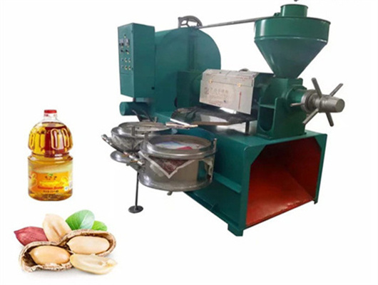 sunflower oil press making machine in Philippines