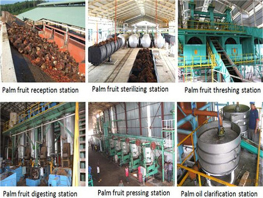 sunflower soji seed palm oil press machine in Congo