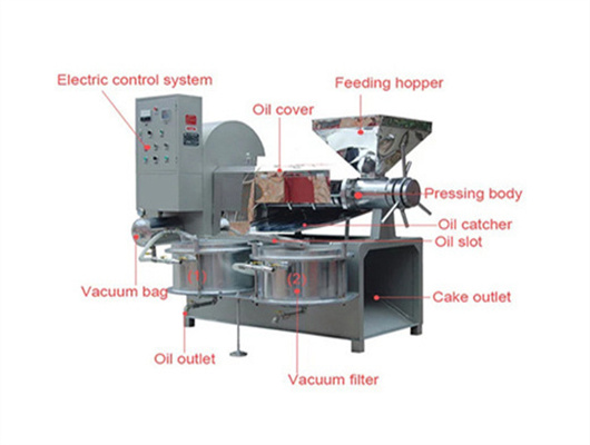 rapeseed peanut soybean oil extraction machine in Bloemfontein