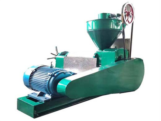 automatic screw press oil extraction machine in Democratic Republic of Congo