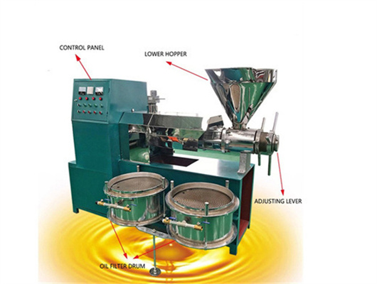 20tpd soybean seed cold oil press machine in Ghana